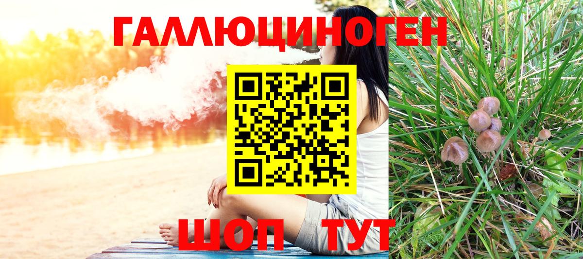 Псилоцибиновые грибы Psilocybine cubensis Сосновый Бор