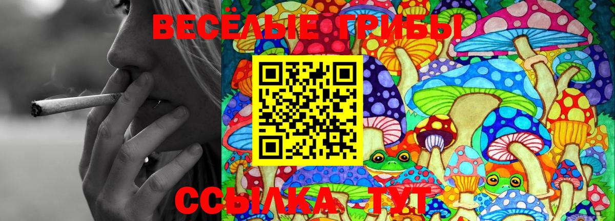 Сосновый Бор  Псилоцибиновые грибы Psilocybe  Вход с VPN 
