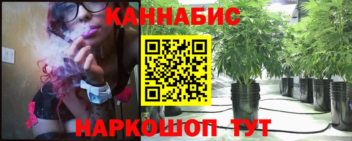 Бошки Шишки тримм  Марихуана конопля  Вход с VPN  Сосновый Бор 
